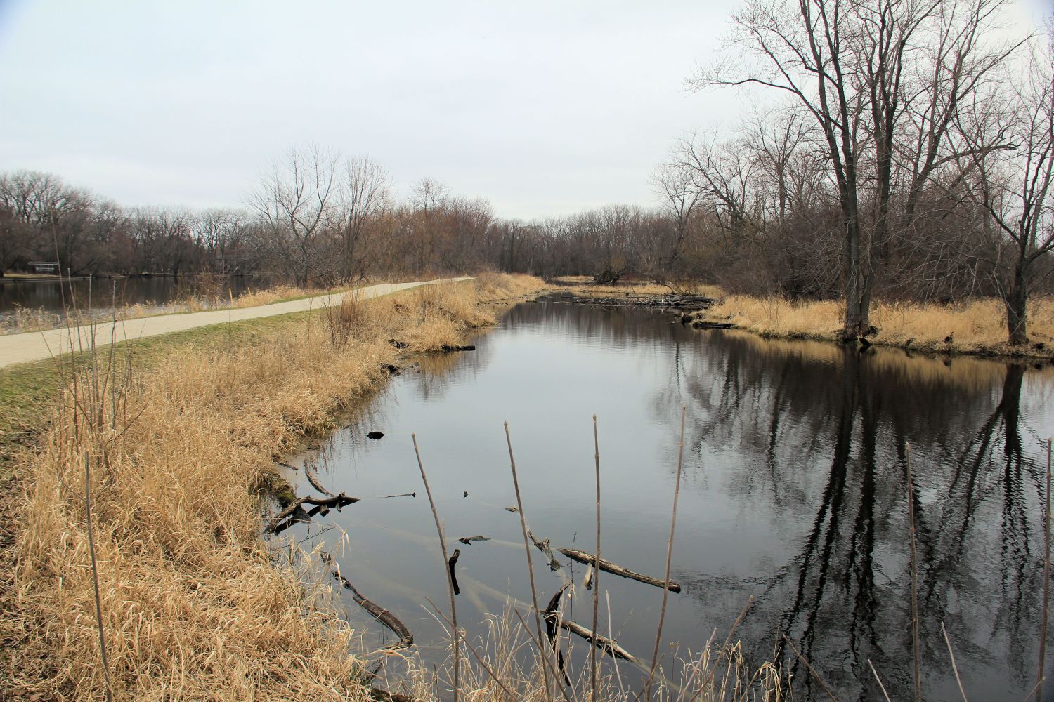 McHenry Dam State Park 